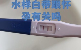 孕期什么时候检查白带