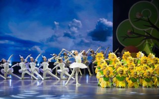 有创意的儿童表演节目