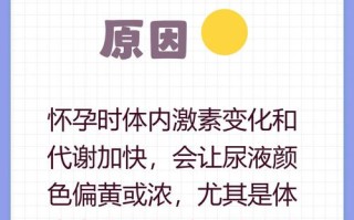 怀孕期间小便发黄是正常的生理现象吗？需要担心哪些异常情况？