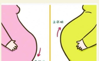 两次孕期反应相同，真能准确预测胎儿性别吗？科学依据在哪里？