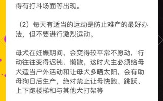 备孕期间养狗会对孕妇和胎儿产生哪些潜在影响？