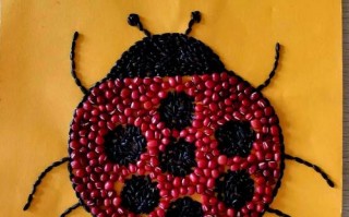 儿童种子贴画图片大全，如何用日常种子创作出多样童趣作品？