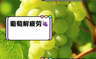 儿童咳嗽期间吃葡萄会加重咳嗽吗？有哪些注意事项？