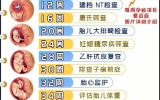孕期需要做哪些检查项目？不同阶段的检查重点和注意事项是什么？