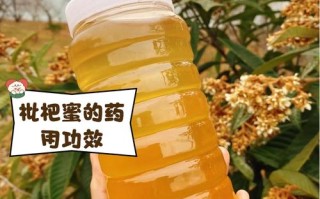 孕期能喝枇杷蜂蜜水吗