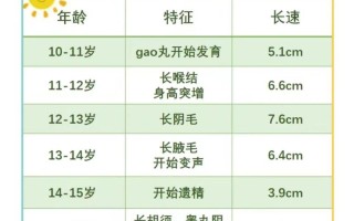 少年儿童发育最快系统是哪个？