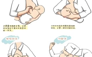 新生儿喂养的正确姿势