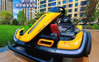 儿童漂移车价格差异大吗？不同品牌图片款式有哪些区别？