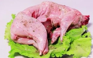 怀孕期间能吃兔子肉吗
