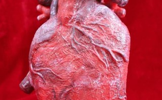 新生儿下体流红色液体是正常现象还是疾病信号？需紧急就医吗？