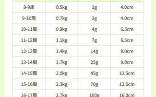 孕期每月体重增长标准是多少？不同孕月该增重多少才健康？