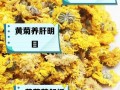 备孕期间喝菊花茶真的安全吗？对怀孕有潜在影响吗？