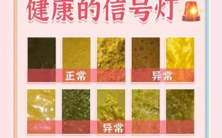 新生儿叽咕屎是正常现象还是消化异常？需要关注哪些信号？