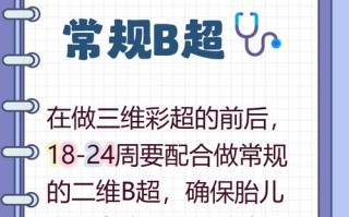 孕期三维彩超什么时候做