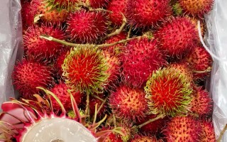 孕期痔疮吃什么水果好