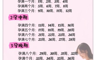怀孕整个孕期到底是多少天？不同算法下天数有差异吗？