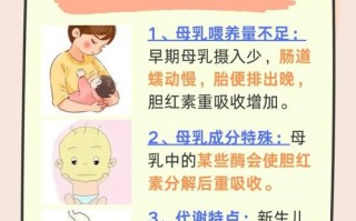 母乳会引起新生儿黄疸吗？