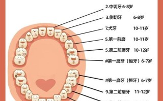 儿童20颗乳牙都换吗