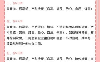 孕期检查项目时间表如何科学安排？