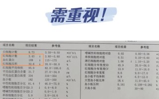 孕期血常规，关键指标看哪几项？