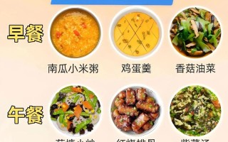 儿童一日三餐营养食谱，如何科学搭配才能满足成长需求？