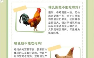 孕期吃鸡肉对胎儿发育有好处吗？需要注意哪些饮食禁忌？