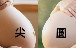 孕期肚子形状真能判断胎儿性别？圆肚子就一定生男孩吗？