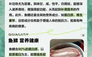 孕期吃鱼鳔对胎儿发育和孕妇身体真有好处吗？有哪些科学依据和注意事项？