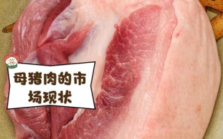 孕期误食母猪肉会对胎儿发育造成哪些潜在风险？