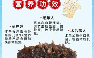 孕期吃海参是滋补佳品还是潜在风险？营养专家解析利弊与科学食用指南