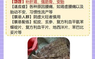 备孕期间能用中药调理吗？