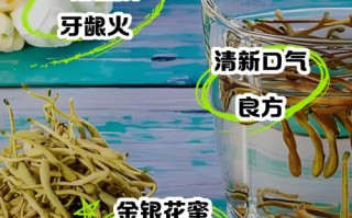 孕期喝金银花露安全吗？对胎儿有影响吗？注意事项有哪些？