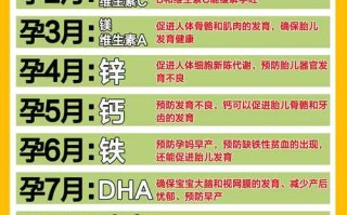 怀孕期间需要吃营养品吗