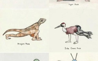 儿童模仿小动物动作，是天性使然还是学习能力发展的表现？