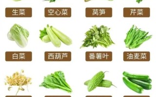 备孕期间哪些蔬菜需忌口？这份清单藏着哪些健康隐患？