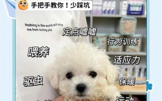 新生儿家里到底能不能养宠物？需要注意哪些问题？