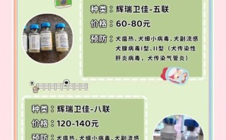 狗怀孕期间到底能不能打疫苗？对胎儿和母体有影响吗？