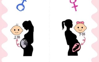 孕期胎儿性别与胎动频率有关吗？男宝胎动真的更频繁吗？