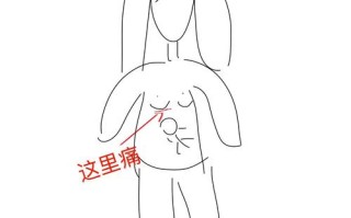 孕期右胸下面疼真的是男孩信号吗？科学依据在哪里？