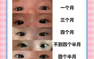 新生儿双眼皮是天生注定还是后天变化？如何科学判断其是否会定型？