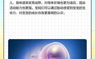 孕期五个月宝宝发育标准图有哪些关键指标？