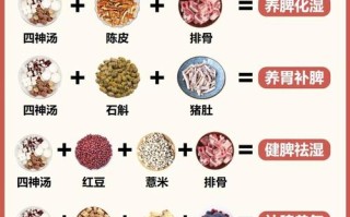 儿童脾胃虚弱到底该吃哪些食物才能既调理又不伤脾胃呢？