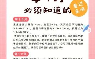 孕期15周要注意哪些事项？饮食、运动、产检有哪些关键点？