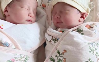 双胞胎新生儿真实图片背后，藏着哪些未被讲述的成长故事？