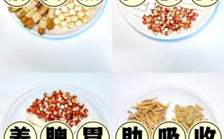 10岁儿童肠胃不好，日常调理怎么做？