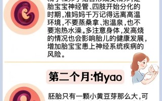 孕期每月胎儿发育关键期，孕妈哪些行为可能让宝宝害怕？