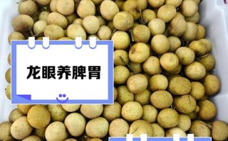 儿童适量吃龙眼能补气血？但这些潜在风险家长必须知道！