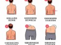 儿童肩胛骨突出是缺钙还是姿势问题？家长该如何科学应对？