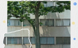 孕期老公对自己不关心，是压力大还是感情变了？该如何沟通改善？