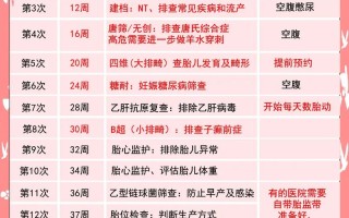 男性孕期体检必做项目有哪些？不同阶段重点检查差异大吗？